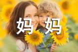 優(yōu)秀男孩媽媽的家長(zhǎng)評(píng)語(yǔ)