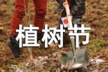 植樹節兒童畫圖片